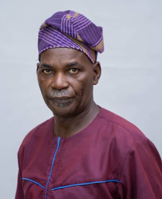 Prof. Dunmade Olufemi Ibukun